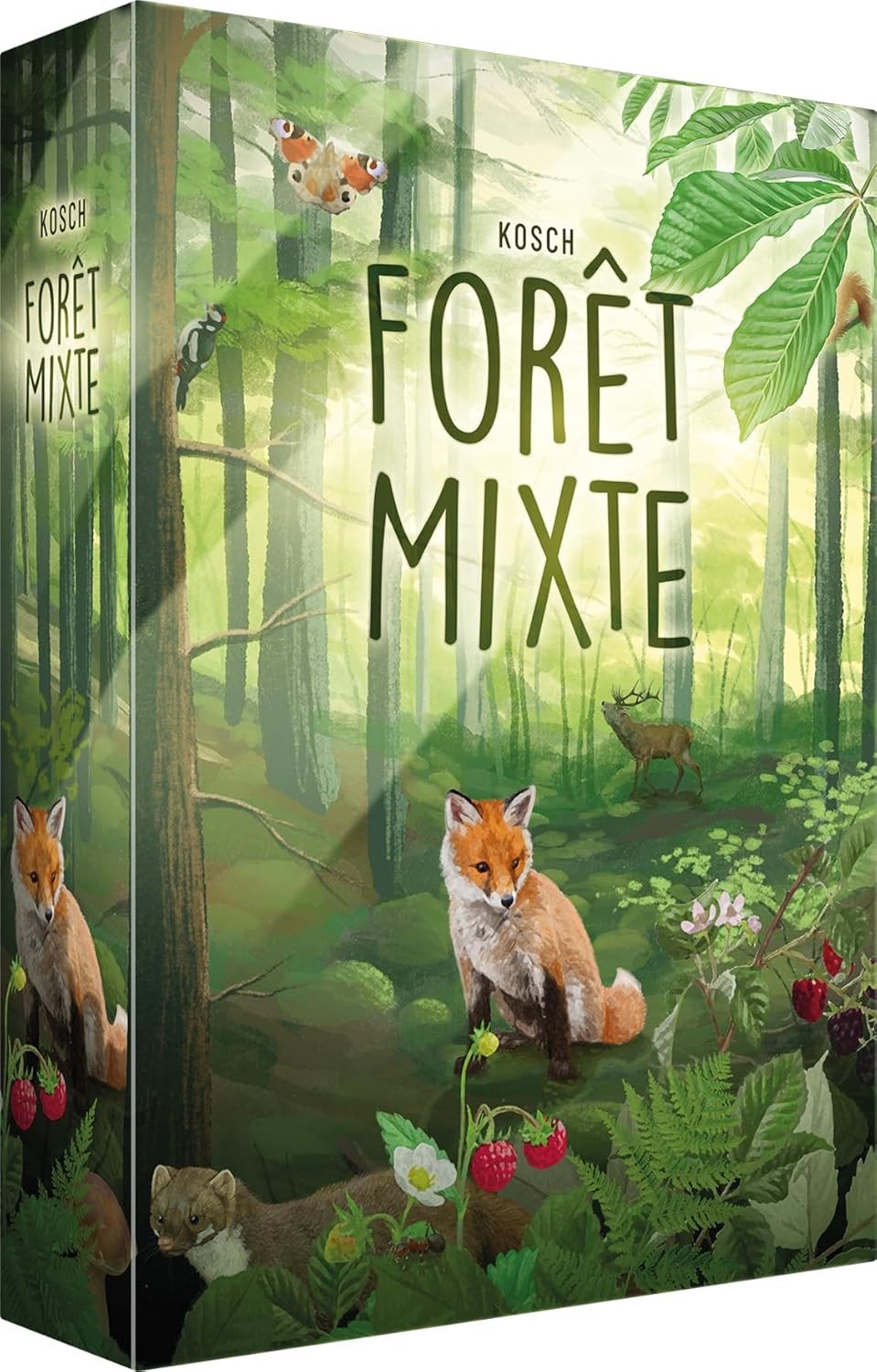 Lookout - Forêt mixte