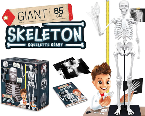 Buki - Squelette géant 85cm